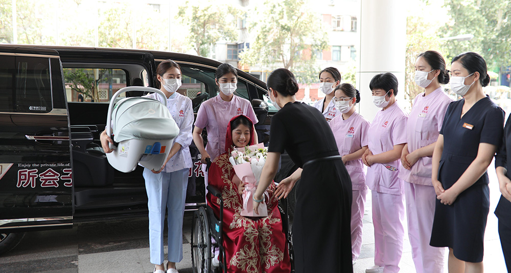 雪绒花图片 雪绒花图片